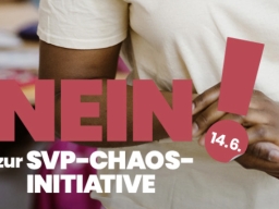 NEIN zur 10 Millionen 1